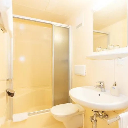 Schmittental Self-check-in Guest house Zell am See