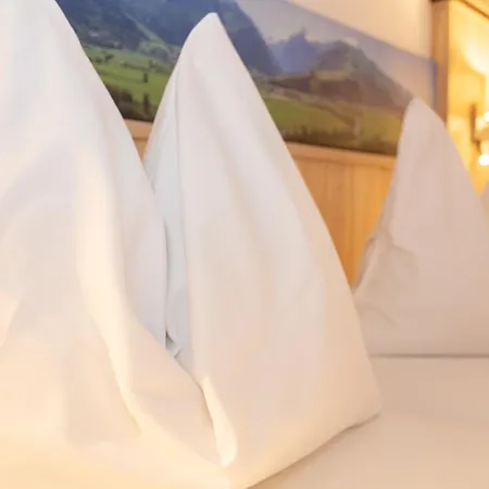 Guest house Schmittental Self-check-in Zell am See